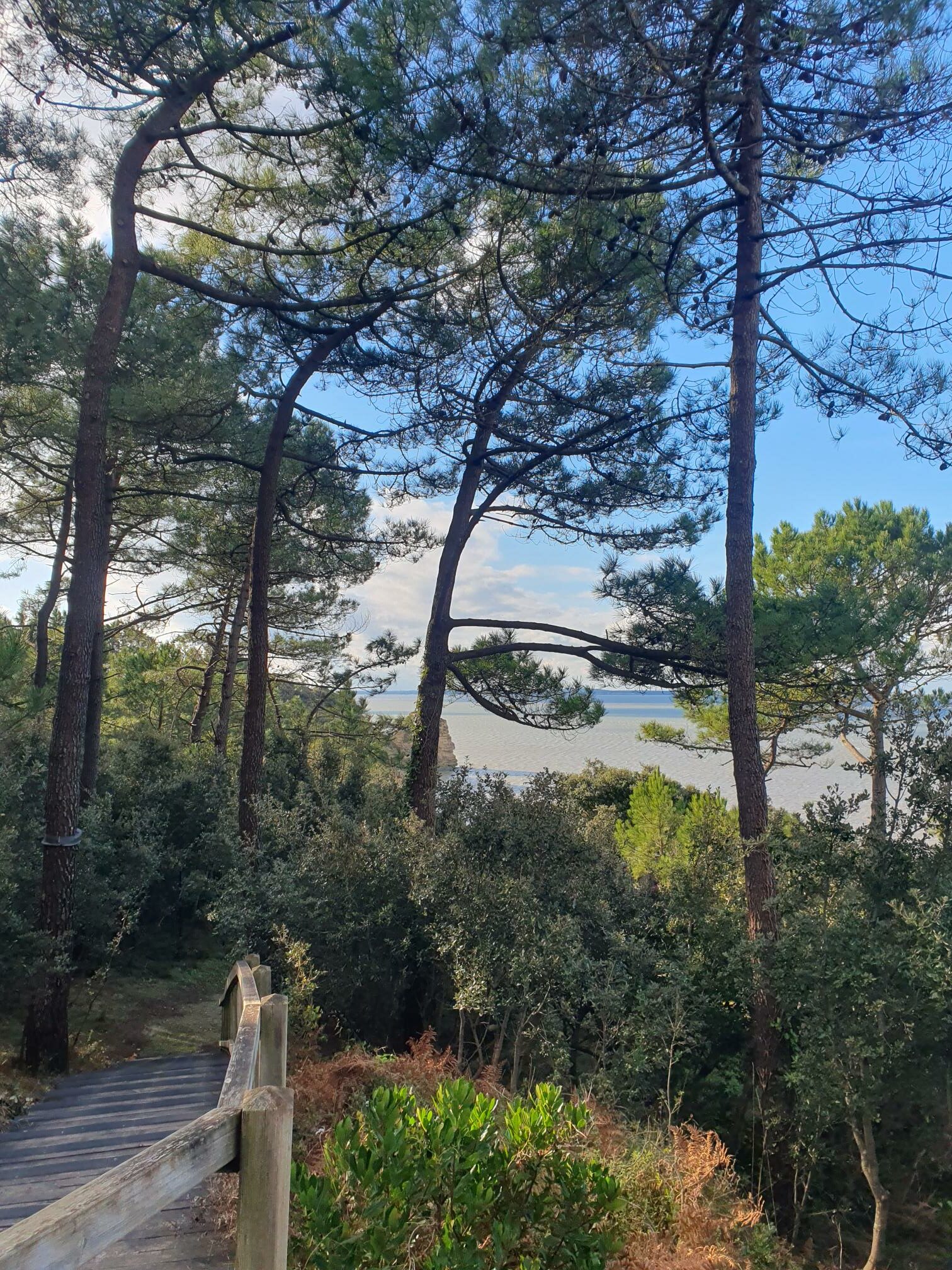 Zoodyssée se déplace au parc de l’Estuaire