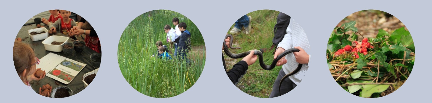 Le parc est déjà ouvert pour vous*!