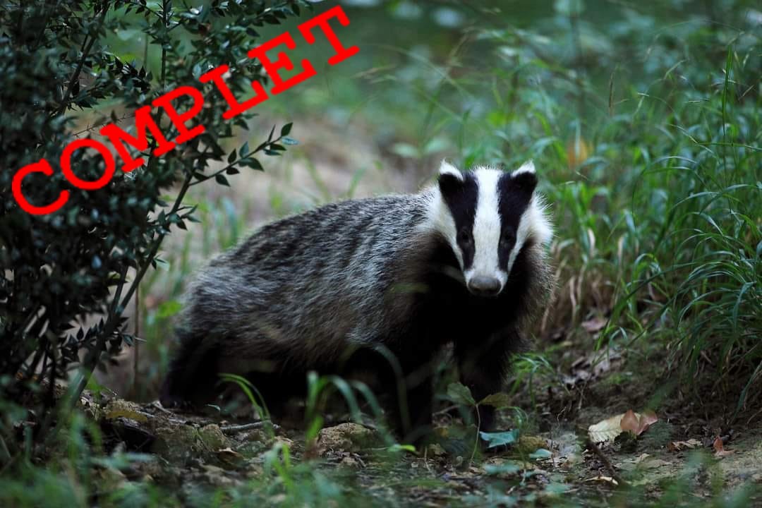 🌙 Une soirée d’exception à Zoodyssée pour bien commencer ce mois d&rsquo;août !