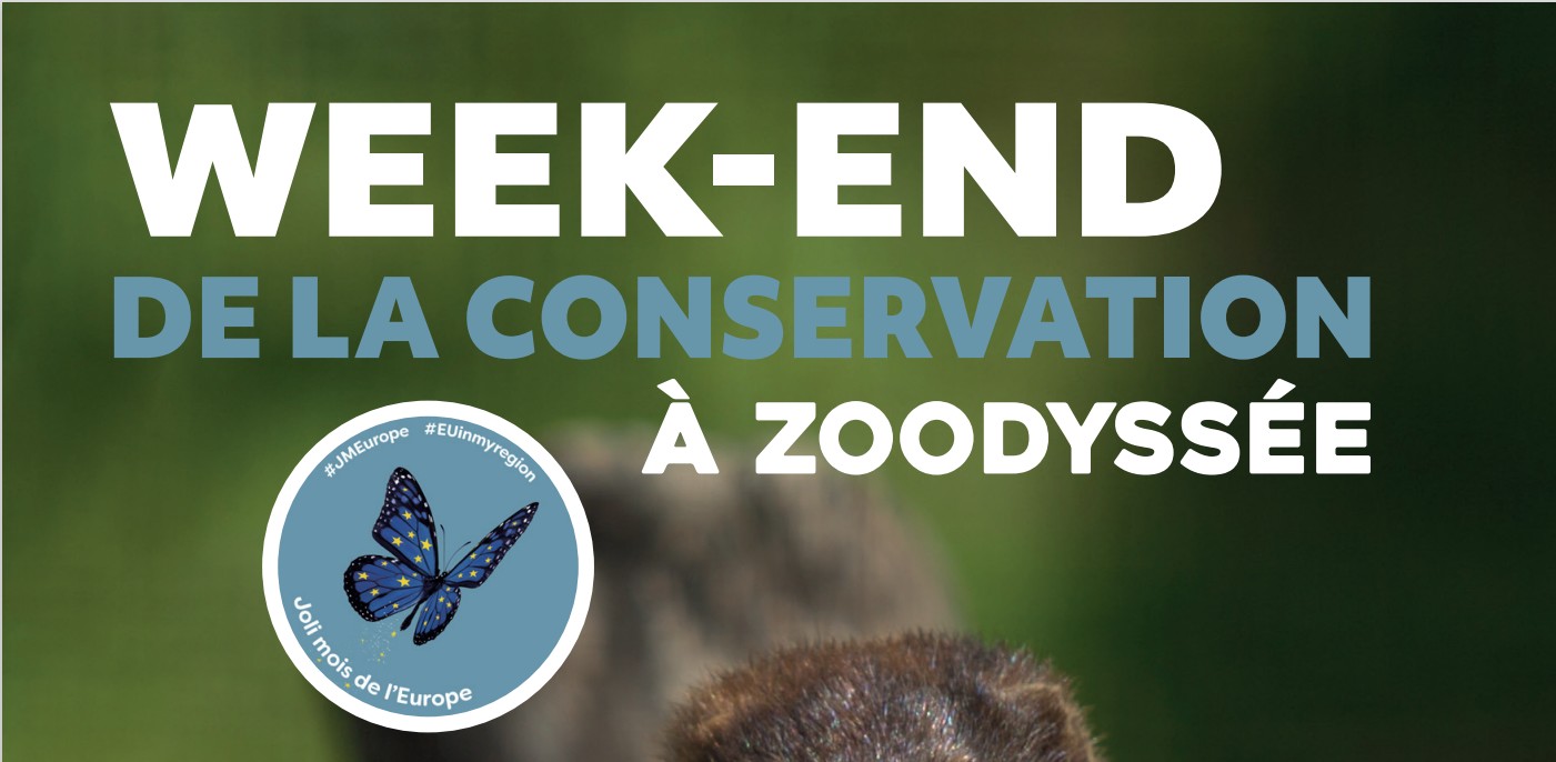 TARIF REDUIT tout le Week-end, venez fêter la conservation de la nature ce samedi 24 et dimanche 25 mai !