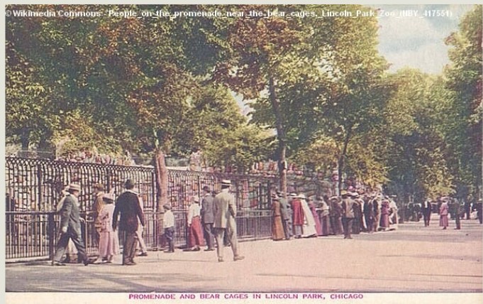 Rendez-vous le dimanche 29 juin pour découvrir l’Histoire des parcs animaliers et de la captivité animale en occident.