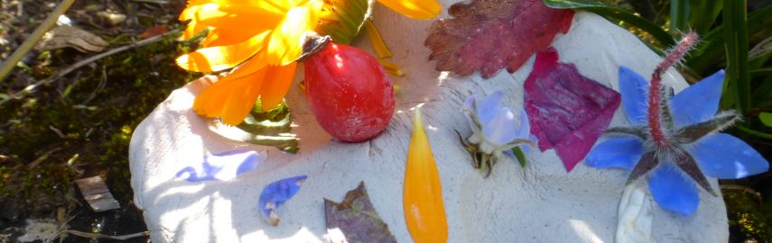 Formation « Petite enfance et éducation nature environnement »