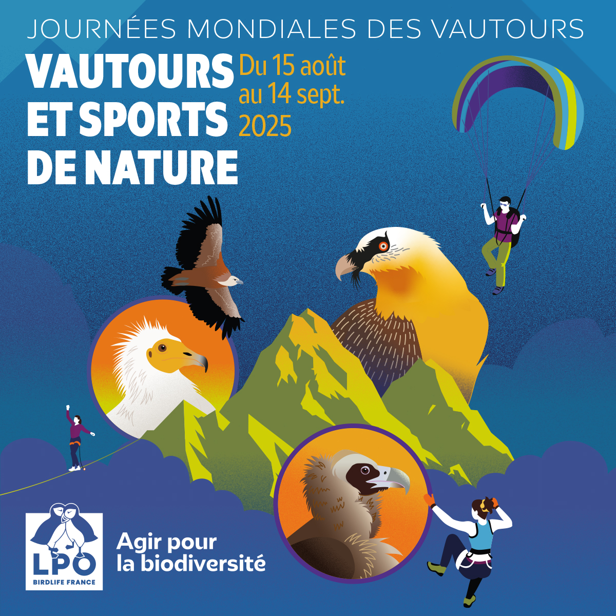 Ce dimanche 7 septembre, journée internationale des vautours à Zoodyssée