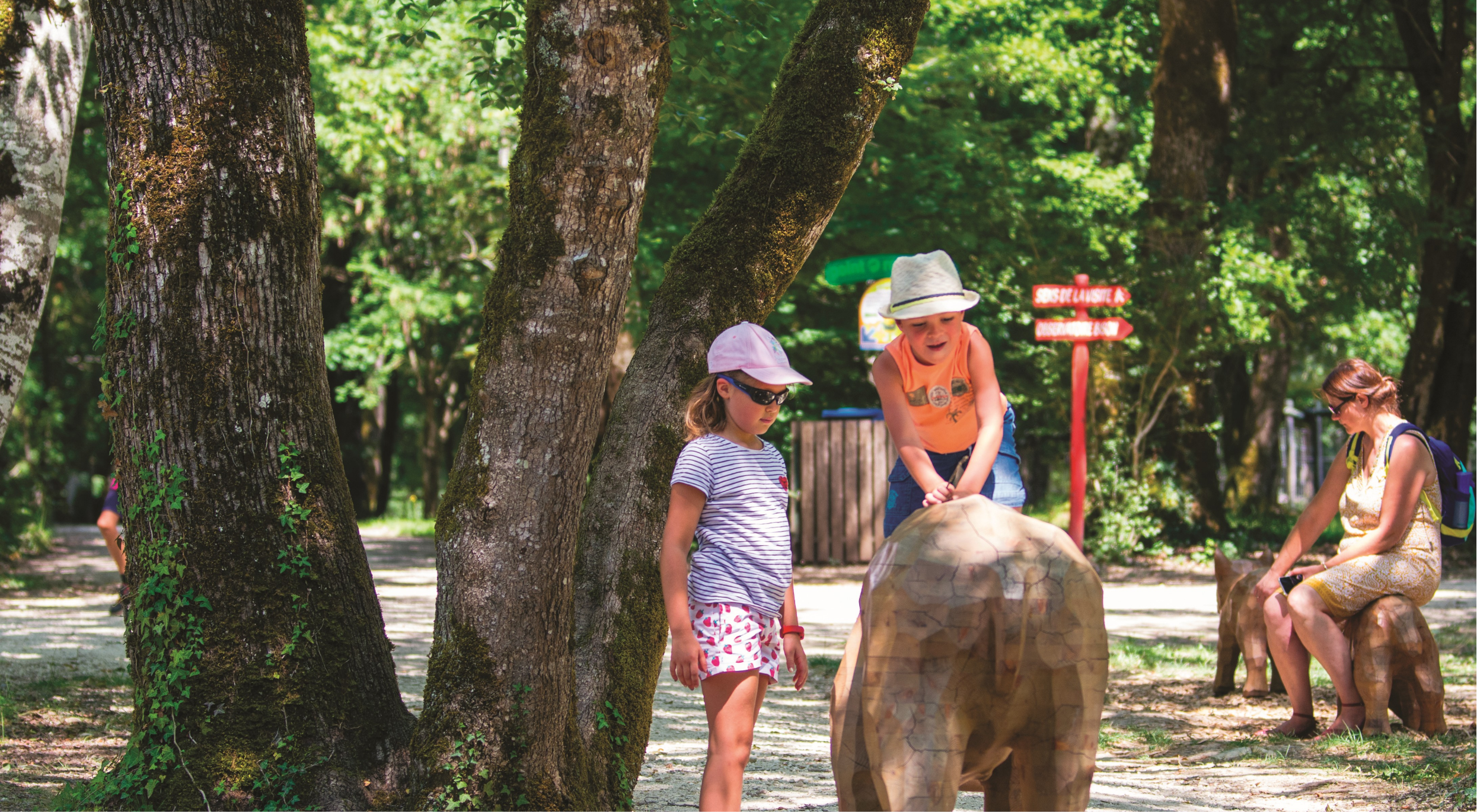 Enfants jouant dans une aire de jeux en pleine nature