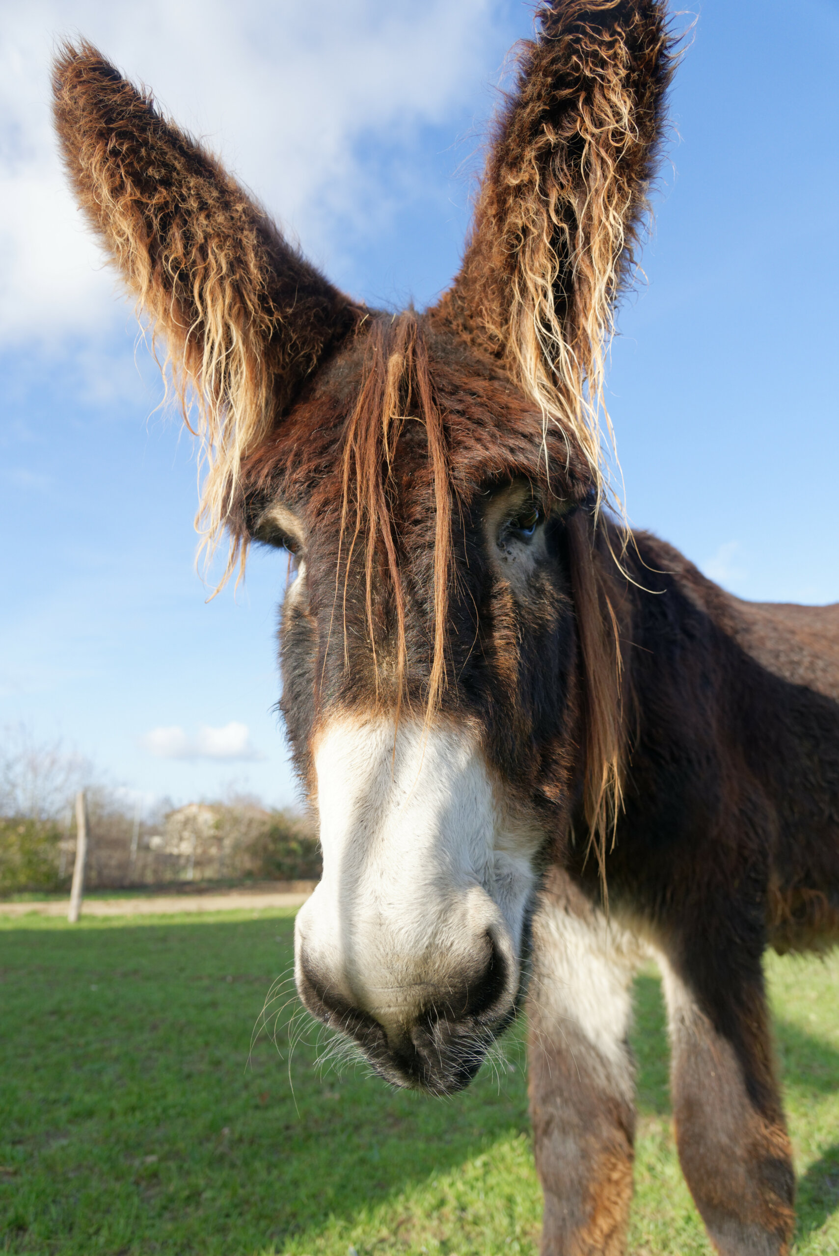 L&rsquo;odyssée des campagnes